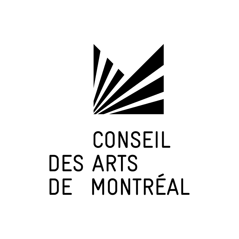 LMC_Partenaires_Logos_CAM_002.png